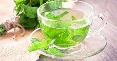 النعناع يعد بأكثر من مجرد دعم للهضم يعتبر محفزًا فعّالاً للذاكرة ويخفف الغثيان بفعالية عالية